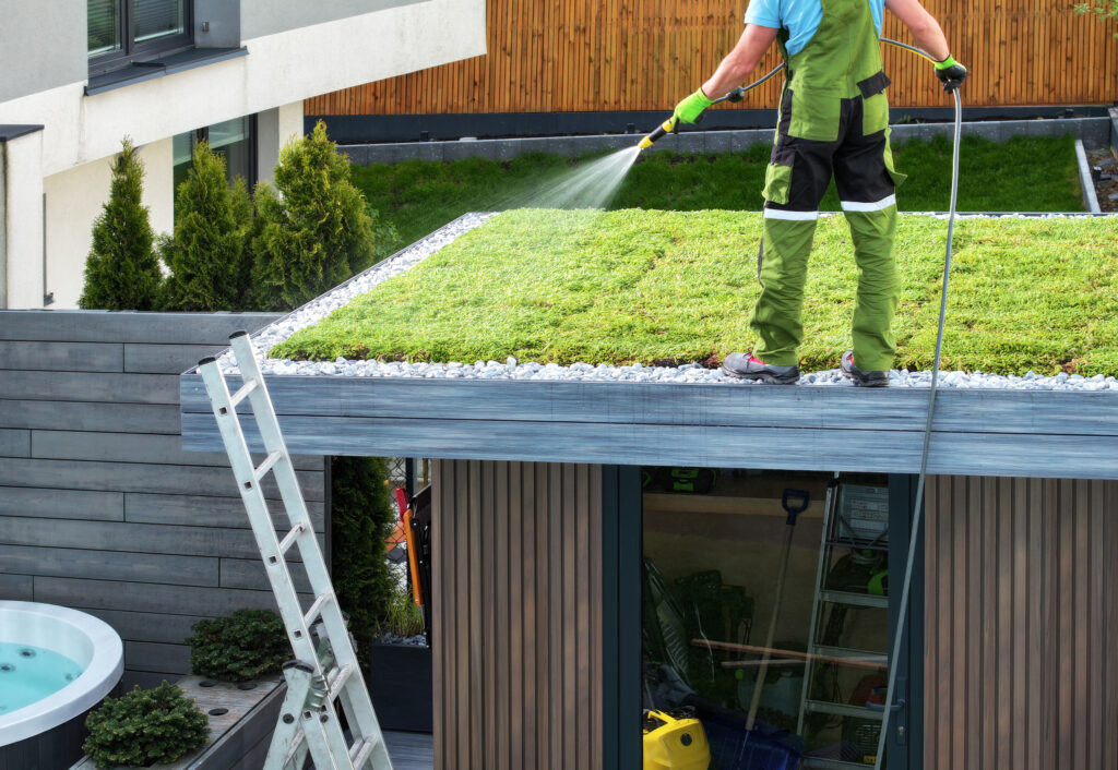 Vegetative Roofing